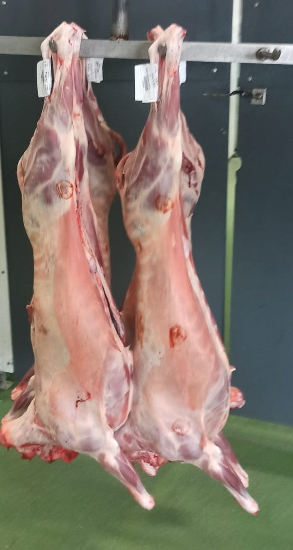 Cordero/Cabrito/Oveja